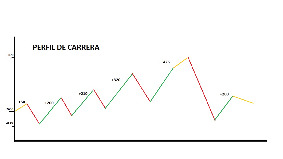 PERFIL DE CARRERA