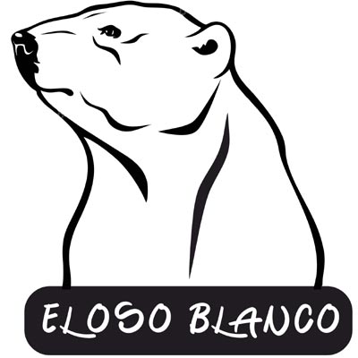 oso blanco